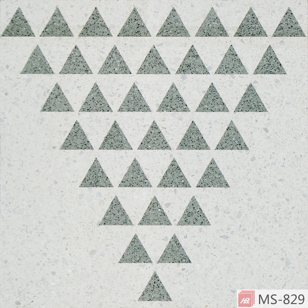 MS-829